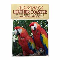 Macaw Parrots in Palm Tree Single Leather Photo Coaster