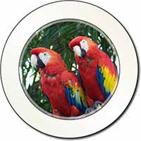 Macaw Parrots in Palm Tree Car or Van Permit Holder/Tax Disc Holder