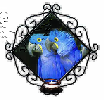 Hyacinth Macaw Parrots Wrought Iron Wall Art Candle Holder