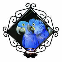 Hyacinth Macaw Parrots Wrought Iron Wall Art Candle Holder