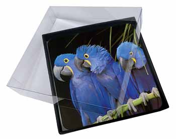 4x Hyacinth Macaw Parrots Picture Table Coasters Set in Gift Box