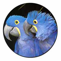 Hyacinth Macaw Parrots Fridge Magnet Printed Full Colour