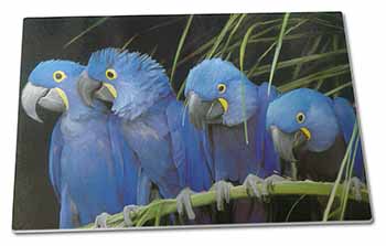 Large Glass Cutting Chopping Board Hyacinth Macaw Parrots