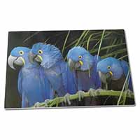 Large Glass Cutting Chopping Board Hyacinth Macaw Parrots