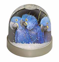 Hyacinth Macaw Parrots Snow Globe Photo Waterball