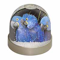 Hyacinth Macaw Parrots Snow Globe Photo Waterball