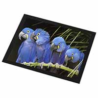 Hyacinth Macaw Parrots Black Rim High Quality Glass Placemat