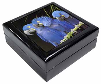 Hyacinth Macaw Parrots Keepsake/Jewellery Box