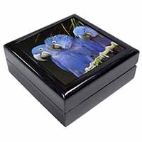 Hyacinth Macaw Parrots Keepsake/Jewellery Box