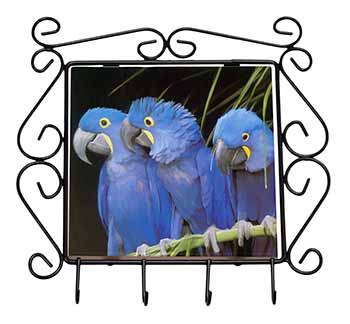 Hyacinth Macaw Parrots Wrought Iron Key Holder Hooks