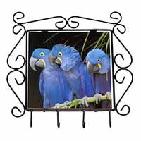 Hyacinth Macaw Parrots Wrought Iron Key Holder Hooks