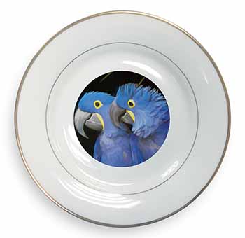 Hyacinth Macaw Parrots Gold Rim Plate Printed Full Colour in Gift Box