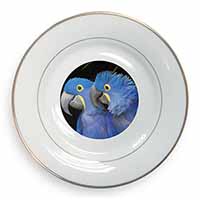 Hyacinth Macaw Parrots Gold Rim Plate Printed Full Colour in Gift Box
