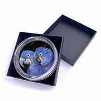 Hyacinth Macaw Parrots Glass Paperweight in Gift Box