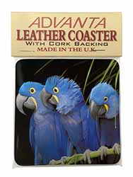 Hyacinth Macaw Parrots Single Leather Photo Coaster