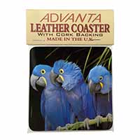 Hyacinth Macaw Parrots Single Leather Photo Coaster