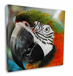 Face of a Macaw Parrot Square Canvas 12"x12" Wall Art Picture Print