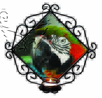 Face of a Macaw Parrot Wrought Iron Wall Art Candle Holder