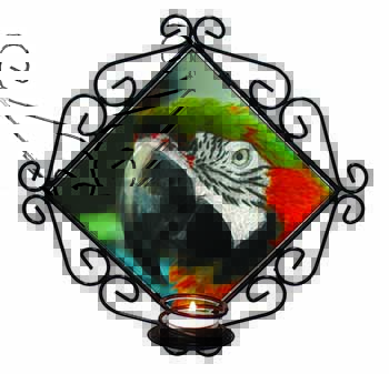 Face of a Macaw Parrot Wrought Iron Wall Art Candle Holder