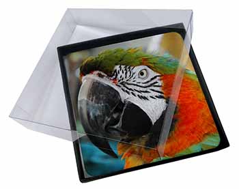 4x Face of a Macaw Parrot Picture Table Coasters Set in Gift Box