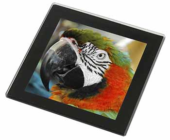 Face of a Macaw Parrot Black Rim High Quality Glass Coaster