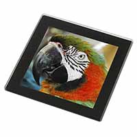 Face of a Macaw Parrot Black Rim High Quality Glass Coaster