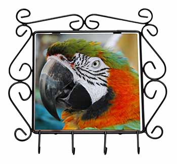 Face of a Macaw Parrot Wrought Iron Key Holder Hooks