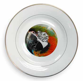 Face of a Macaw Parrot Gold Rim Plate Printed Full Colour in Gift Box