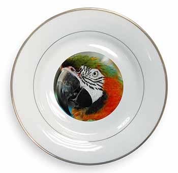 Face of a Macaw Parrot Gold Rim Plate Printed Full Colour in Gift Box