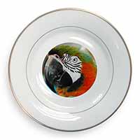 Face of a Macaw Parrot Gold Rim Plate Printed Full Colour in Gift Box