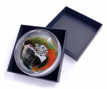 Face of a Macaw Parrot Glass Paperweight in Gift Box