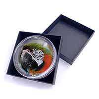 Face of a Macaw Parrot Glass Paperweight in Gift Box