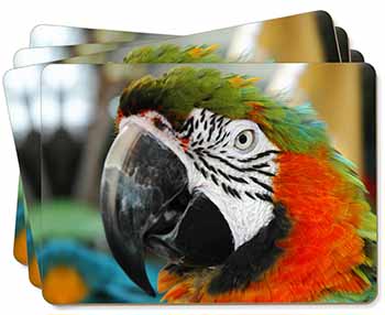 Face of a Macaw Parrot Picture Placemats in Gift Box