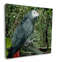 African Grey Parrot Square Canvas 12"x12" Wall Art Picture Print