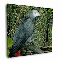 African Grey Parrot Square Canvas 12"x12" Wall Art Picture Print