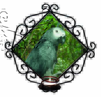 African Grey Parrot Wrought Iron Wall Art Candle Holder