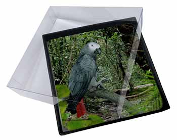 4x African Grey Parrot Picture Table Coasters Set in Gift Box