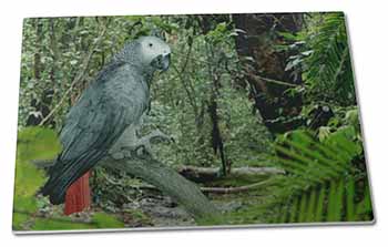 Large Glass Cutting Chopping Board African Grey Parrot