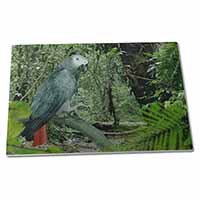 Large Glass Cutting Chopping Board African Grey Parrot