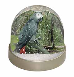 African Grey Parrot Snow Globe Photo Waterball