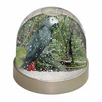 African Grey Parrot Snow Globe Photo Waterball