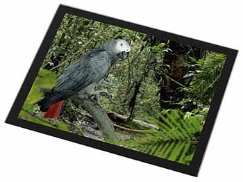 African Grey Parrot Black Rim High Quality Glass Placemat
