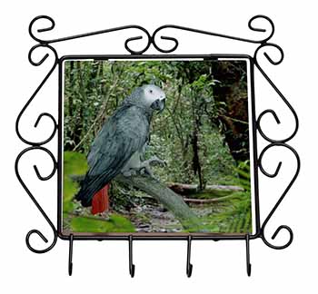 African Grey Parrot Wrought Iron Key Holder Hooks