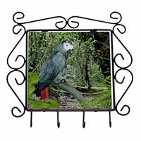 African Grey Parrot Wrought Iron Key Holder Hooks