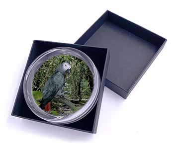 African Grey Parrot Glass Paperweight in Gift Box