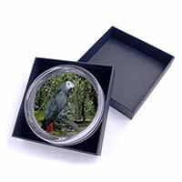 African Grey Parrot Glass Paperweight in Gift Box