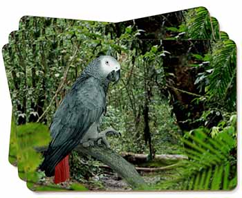 African Grey Parrot Picture Placemats in Gift Box
