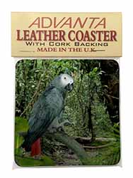 African Grey Parrot Single Leather Photo Coaster