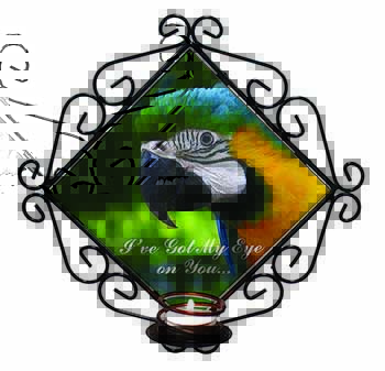 Parrot 