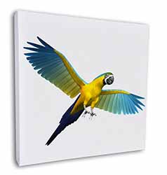 In-Flight Flying Parrot Square Canvas 12"x12" Wall Art Picture Print
